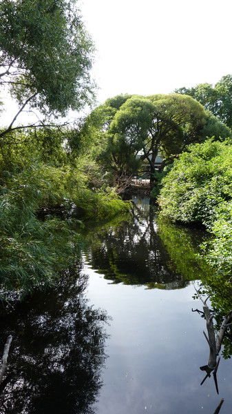 Ольга Соколова