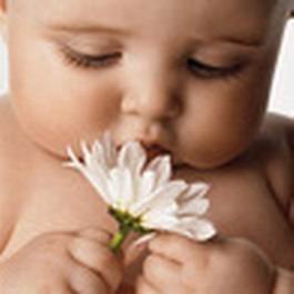 Эдуард Роговой