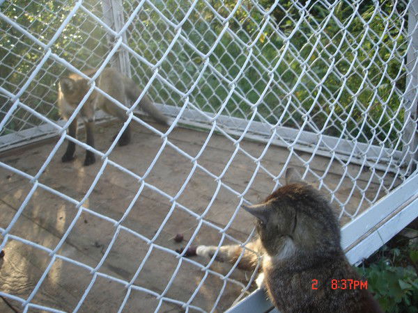 Андрей Андрей