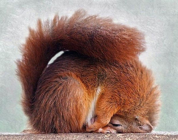 _ Половинка _