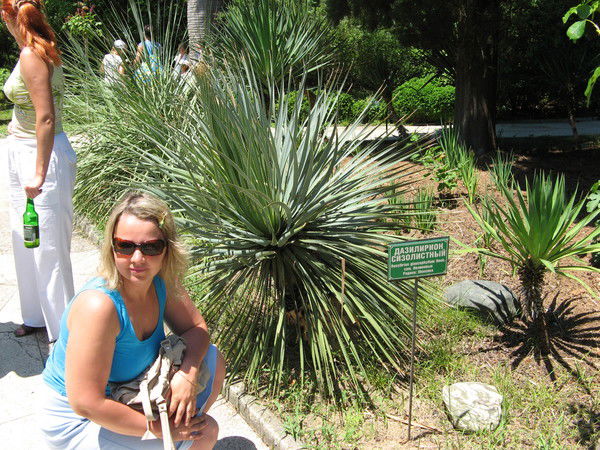 Елена Филиппова