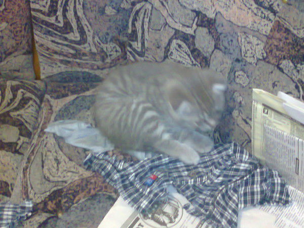 Чебурашка Генина