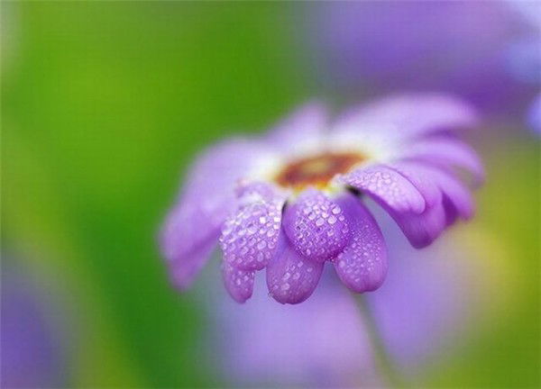 Светлана )))