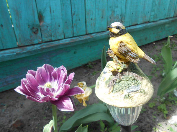 Ольга Исаева