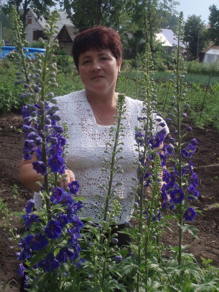 Людмила Волкова