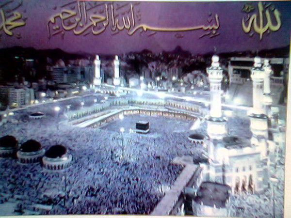 Жанат Койшин