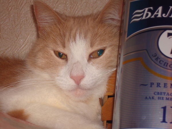 Наталия Коробкова