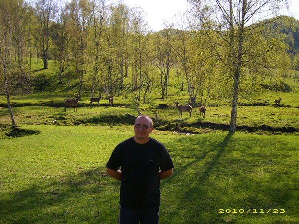 Юрий Медведев