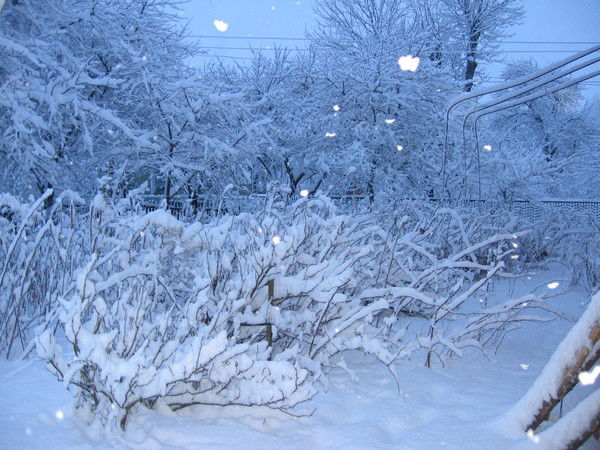 Наталия Москалюк