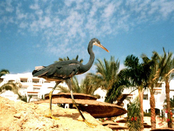 Андрей Иванов