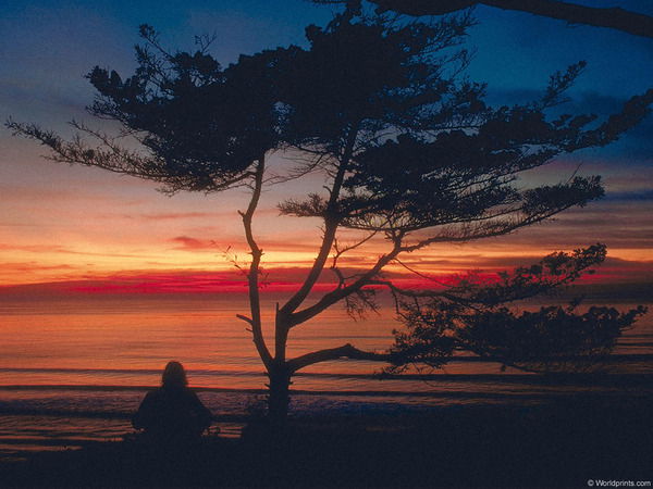 Максим Бухталкин