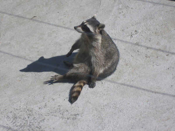 Юра Юрченко