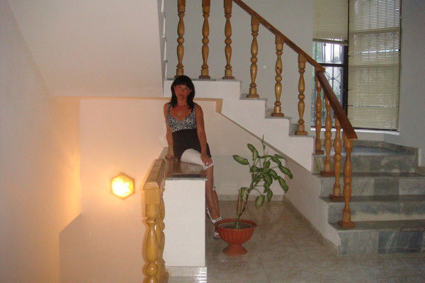 Елена Степанова