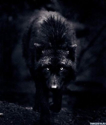 Изат Мынбаев