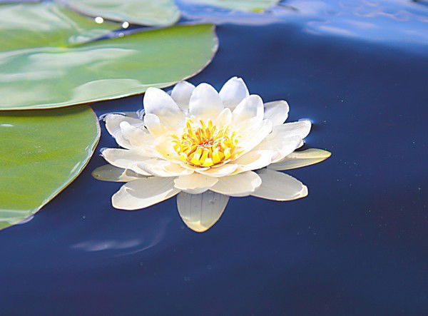 Лариса Менив ( Ершова)