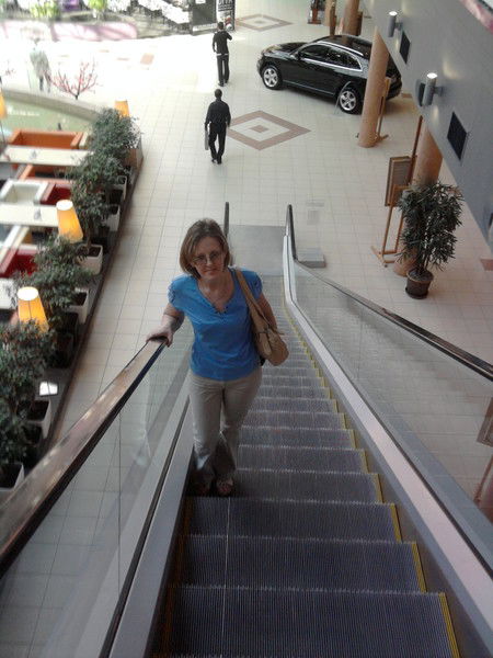 Ирина Каменская