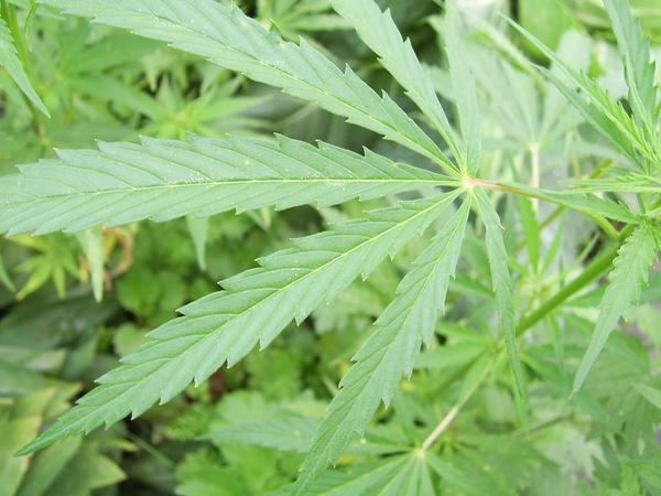 Алексей Иванович Дулев