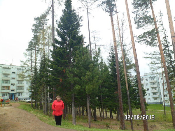 Александра Анисимова