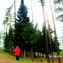 Александра Анисимова