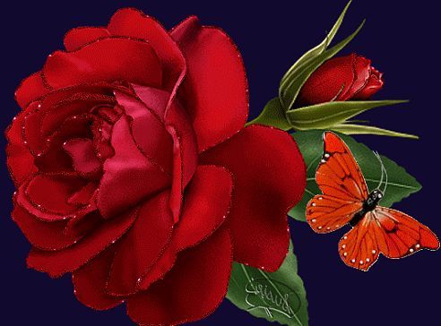 Наталья Горбунова