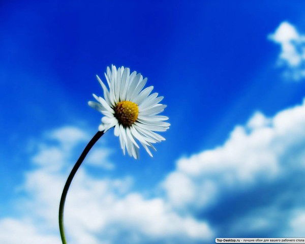 Оля Кукушкина