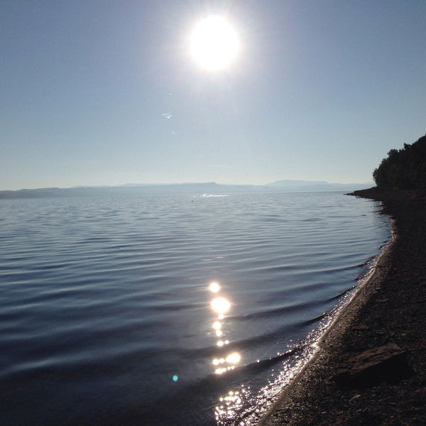 Светлана Толстикова