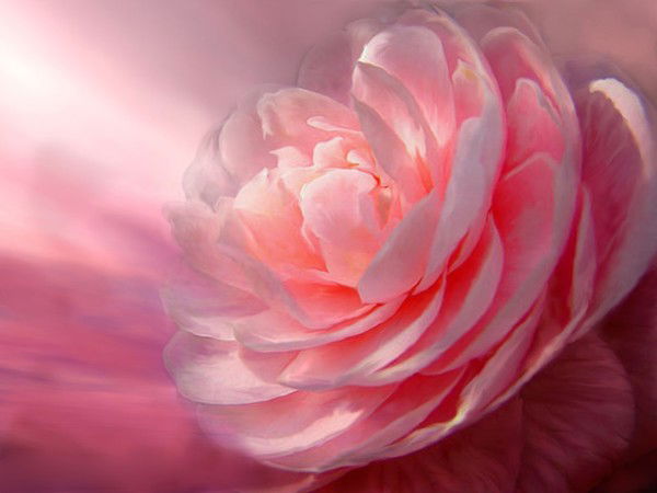 Анастасия Чумова