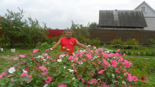 Анвар Ниязов