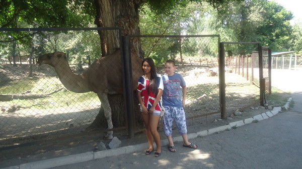 Алишер Алишер