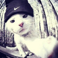 Дима Мельник