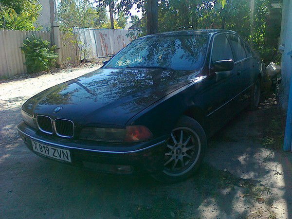 Александр Перепелицин