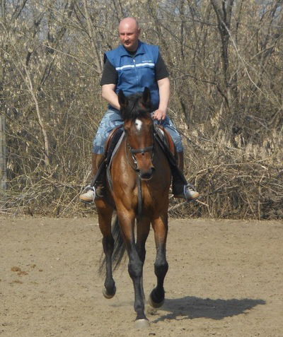 Егор Простаков