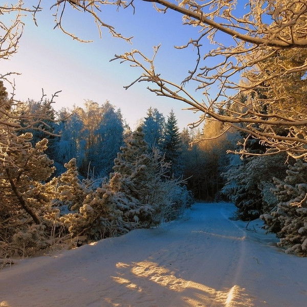Новопетровский Комбинат Благоустройства Мбу Комбинат Благоустройства
