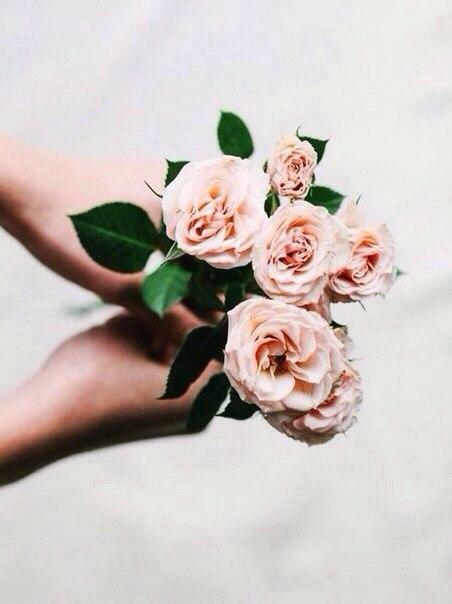 Анастасия Бойко