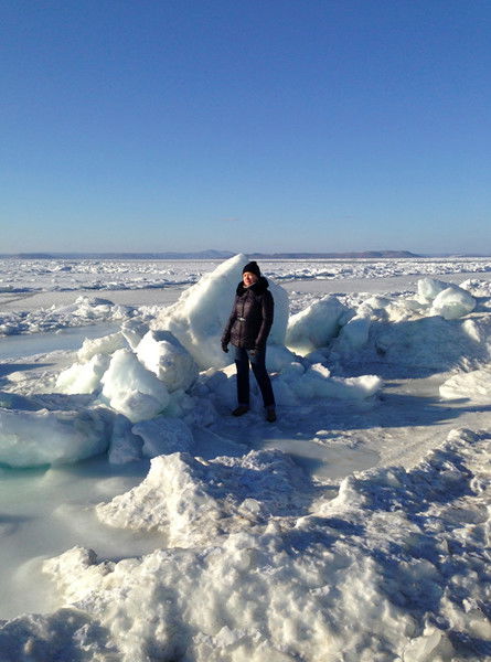 Светлана Губарева