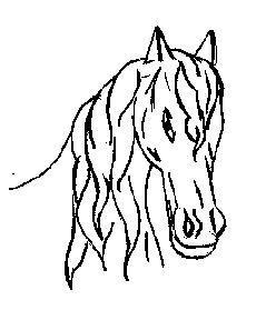 Андрей Каневский