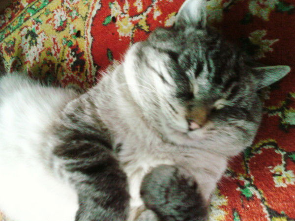 Валя Коновалова