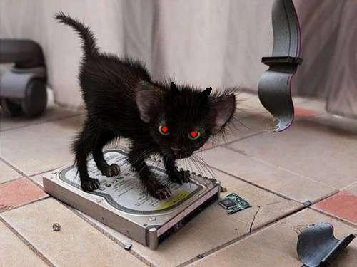 Ирина Баруздина