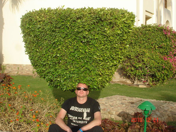 Павел Довгулевец