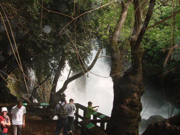 Борис Гитис