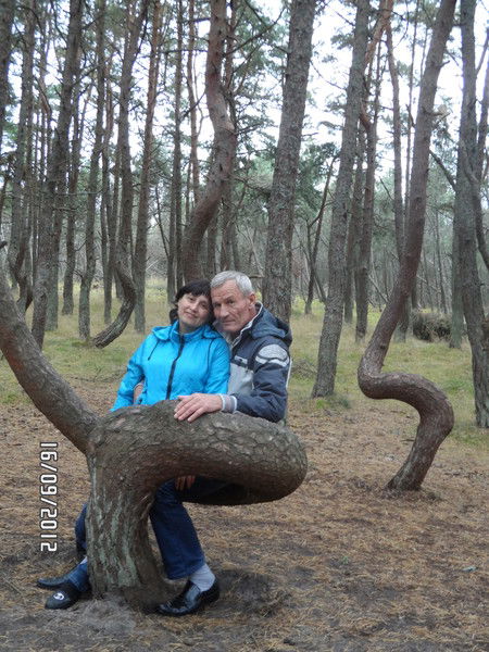 Наталья Абрамченко