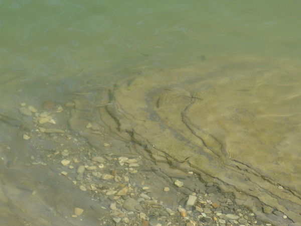 Сергей Журавлев