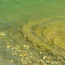 Сергей Журавлев