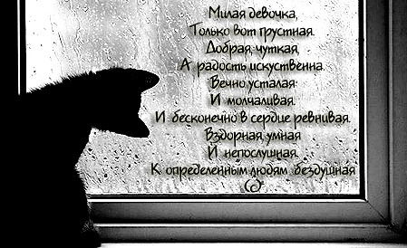 Анастасия Новицкая