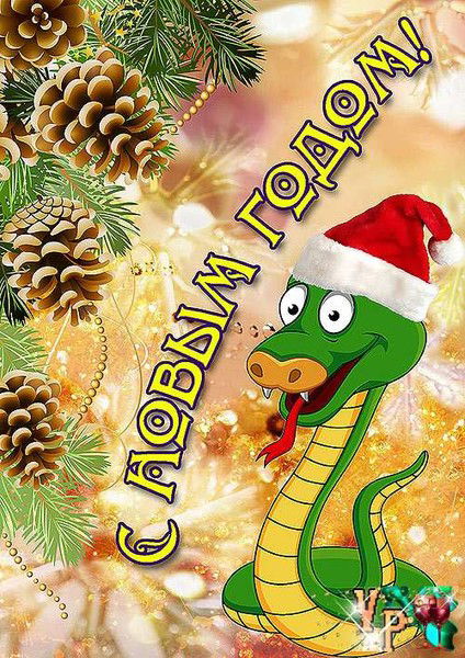 Роман Роман