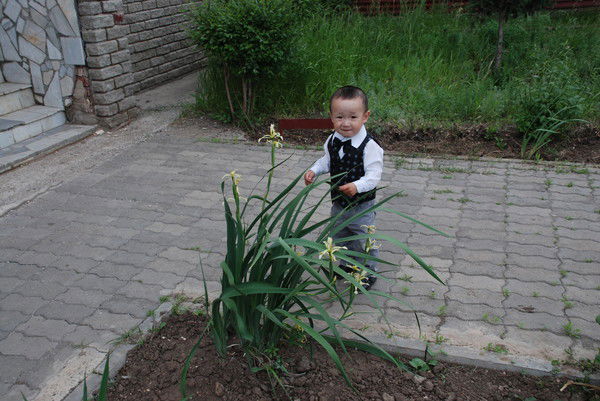 Айгуля Ташмаганбетова