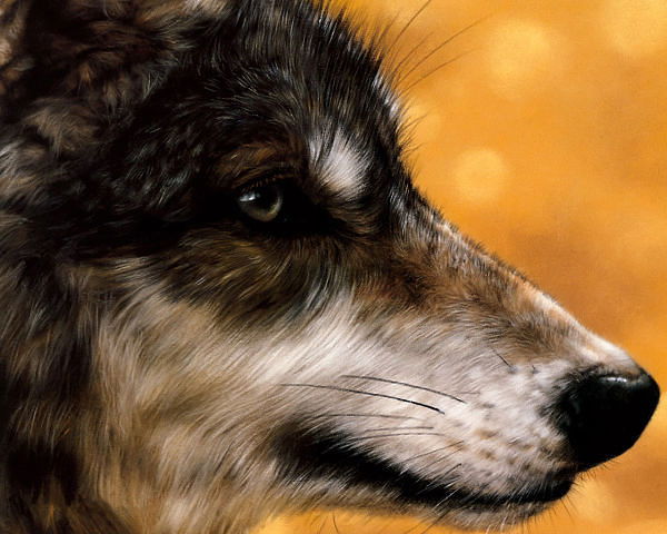 Лёха Полынцев