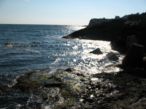 Лидия Ставицкая