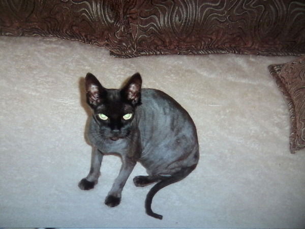 Игорь Манько