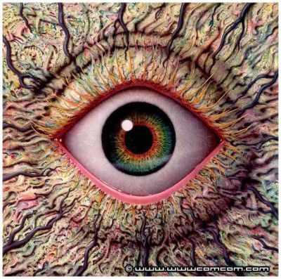 Елена Джос(Коновалова)